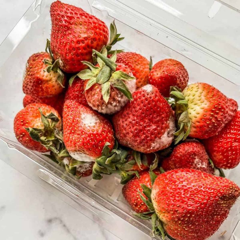 Strawberries: Sweet Today, Sad Tomorrow