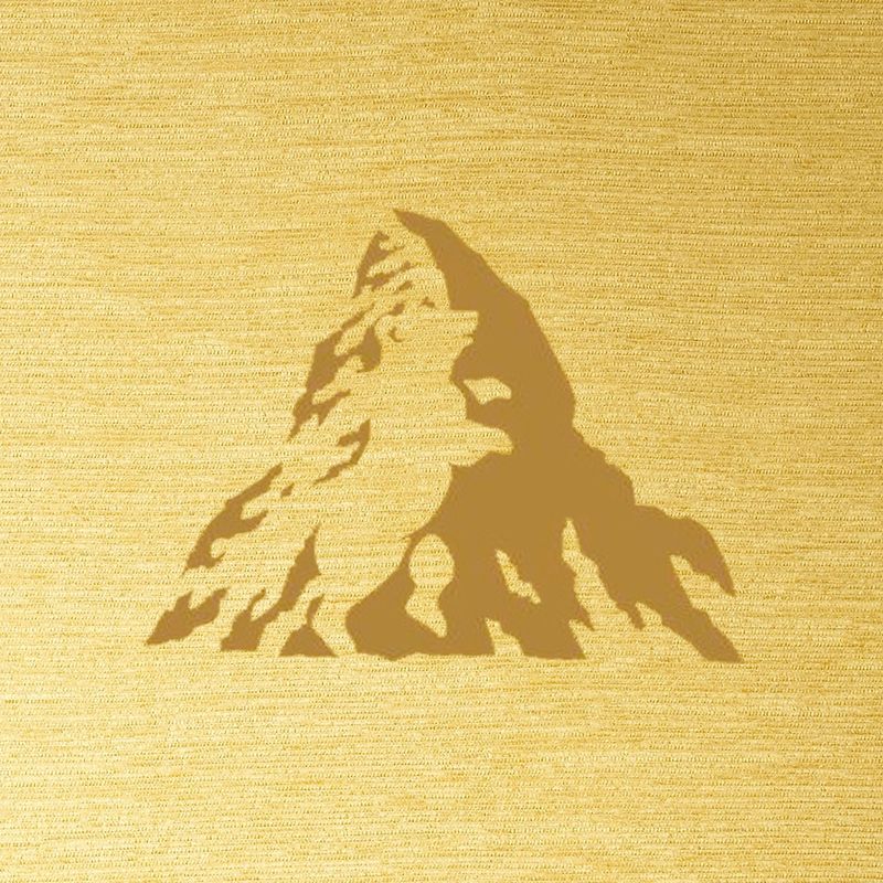 Hidden Bear in the Logo