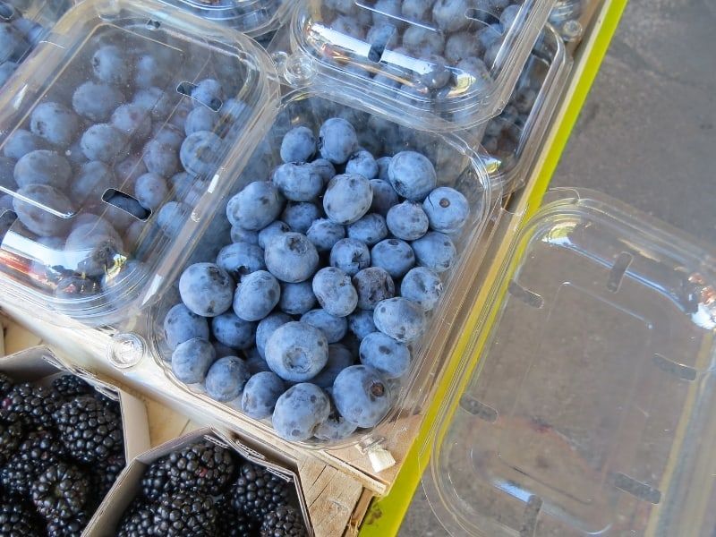 Suffocating Them in Airtight Containers