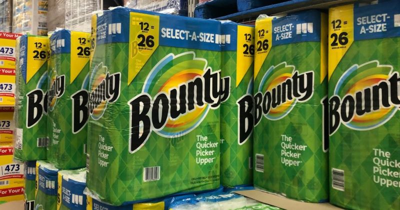 Bounty Paper Towels In Bulk