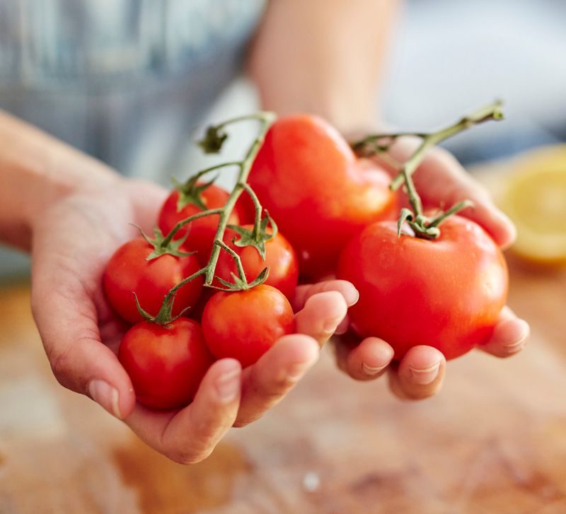 Plump Garden Tomatoes
