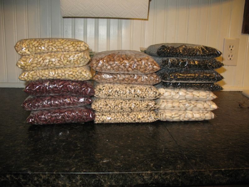 Dried Beans & Lentils: Protein Powerhouses