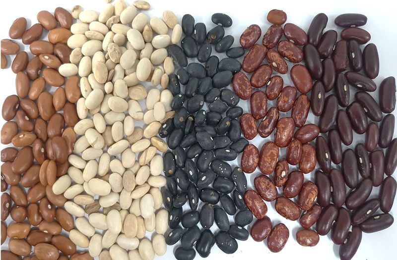 Dried Beans: Prehistoric Pantry Staple