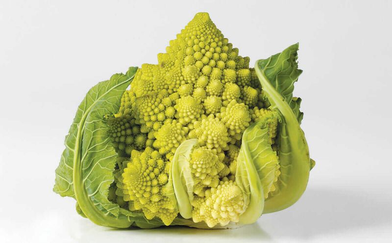 Romanesco