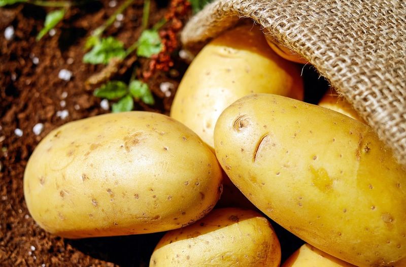 Potatoes: From Royal Gardens to Global Staple