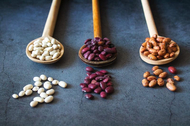 Legumes: Plant-Powered Protein Stars