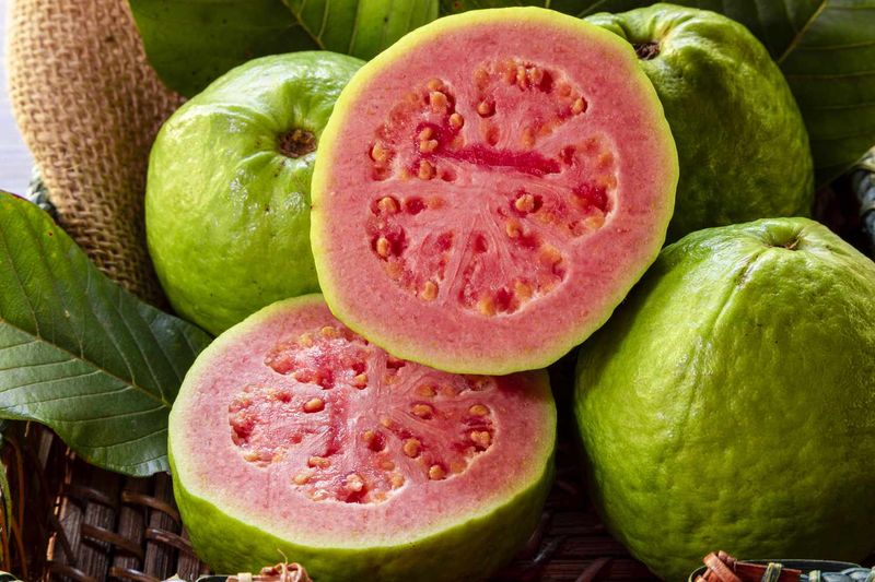 Guava: The Tropical Protein Powerhouse